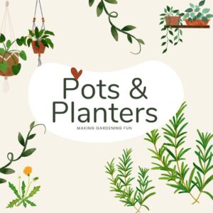 Pots Planters